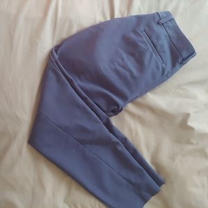 Express columnist ankle pant